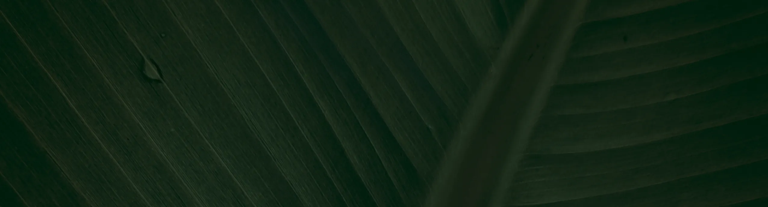 Co-Op Documentation Pricing Guide